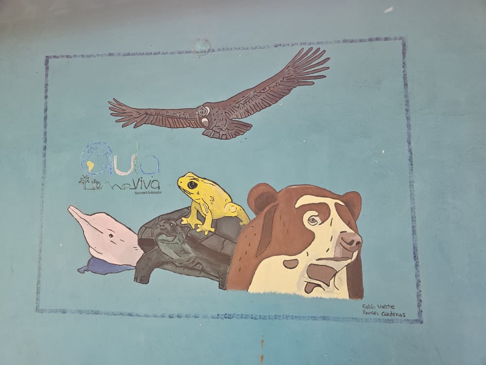 Aula Viva foto 6